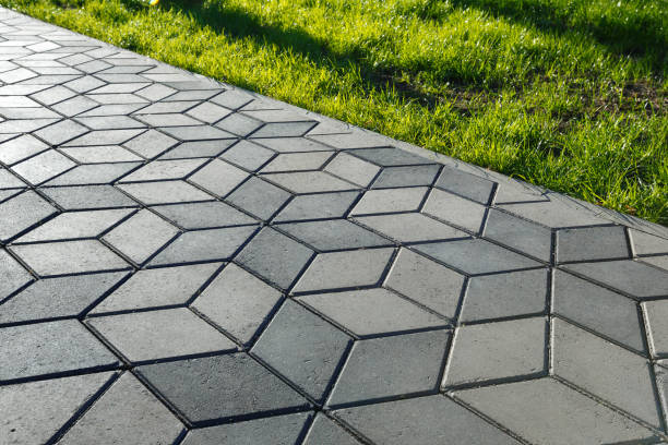 Best Local Driveway Pavers  in Columbus Af, MS